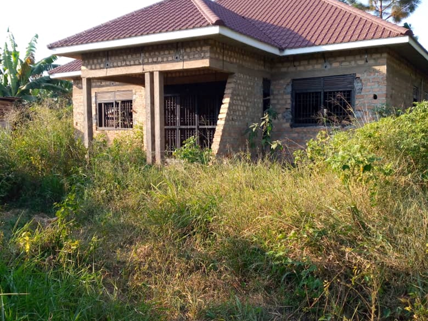 Bungalow for sale in Namulonge Wakiso