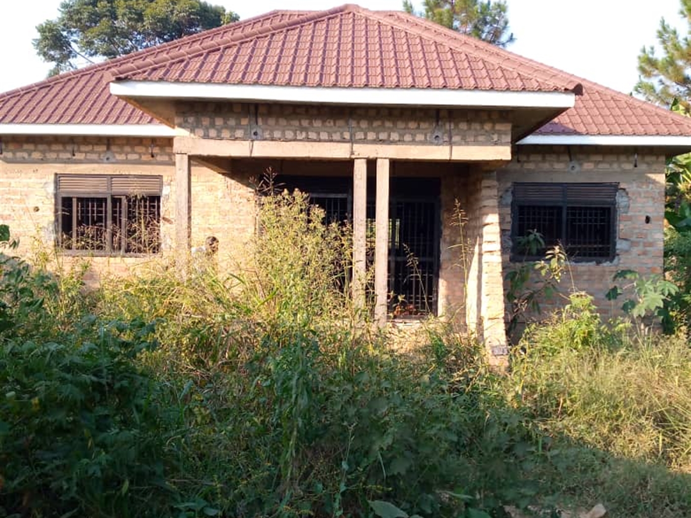 Bungalow for sale in Namulonge Wakiso