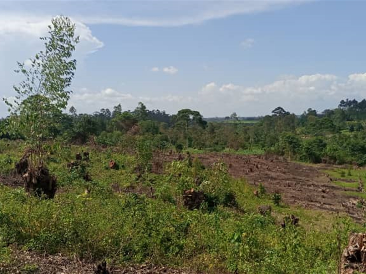 Agricultural Land for sale in Atyak Nwoya