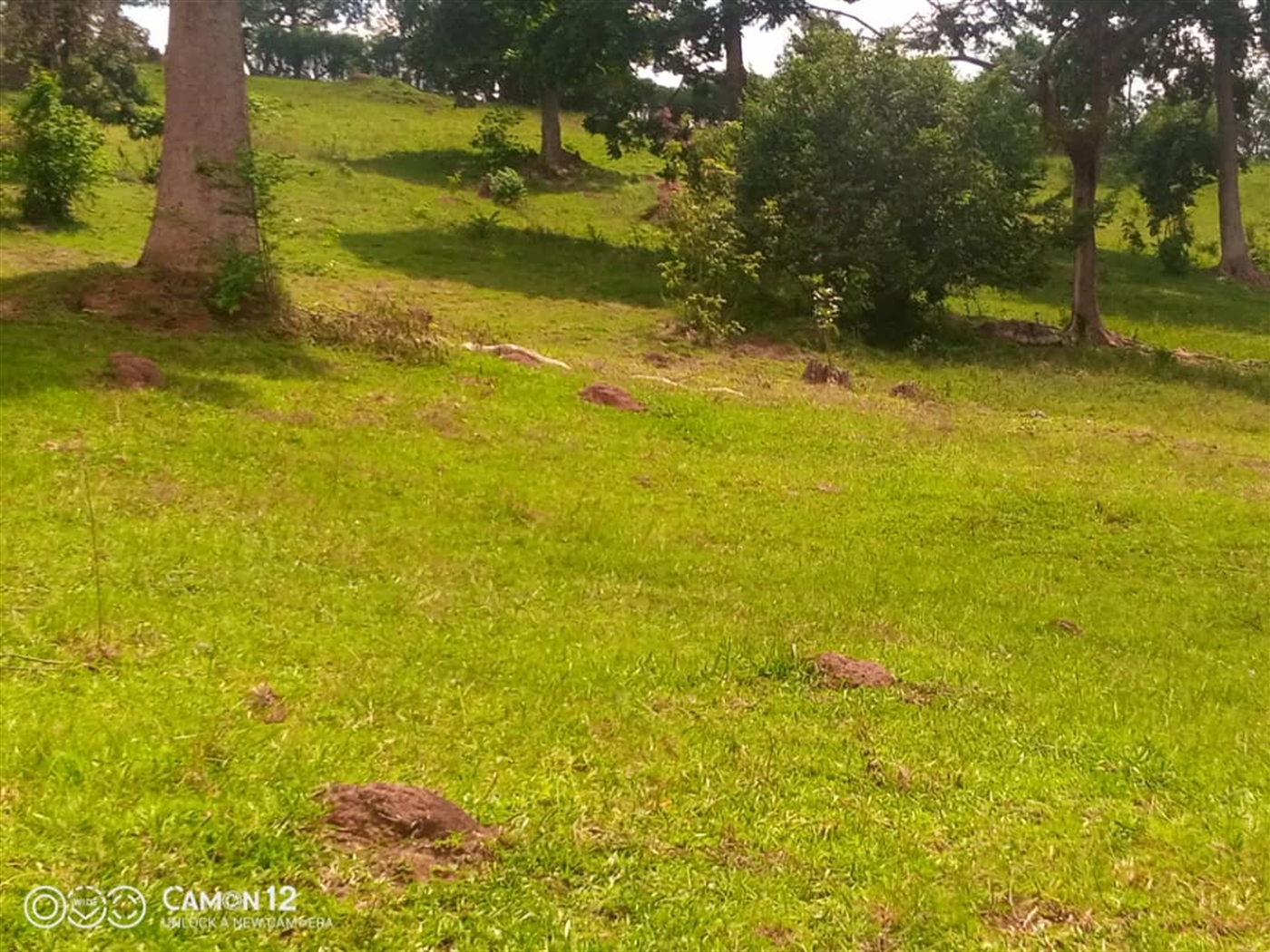 Residential Land for sale in Bbiira Kampala