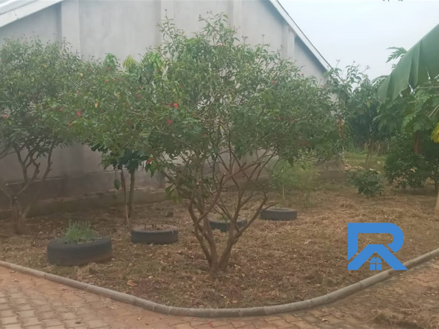 Farm for sale in Kirolo Wakiso