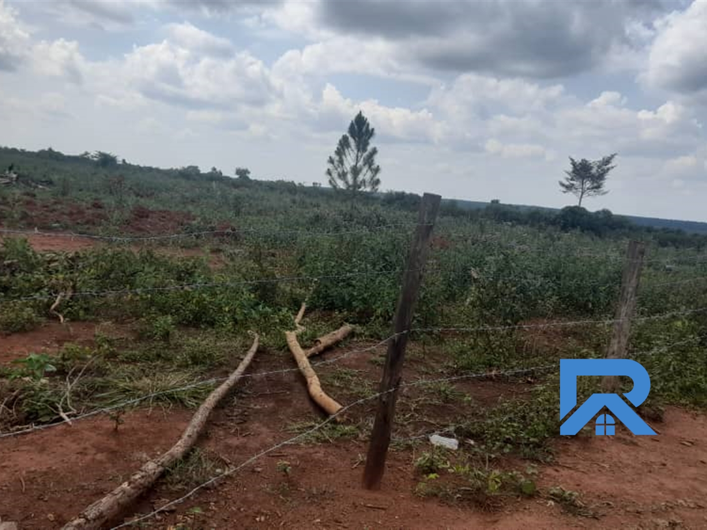 Agricultural Land for sale in Katuugo Luweero