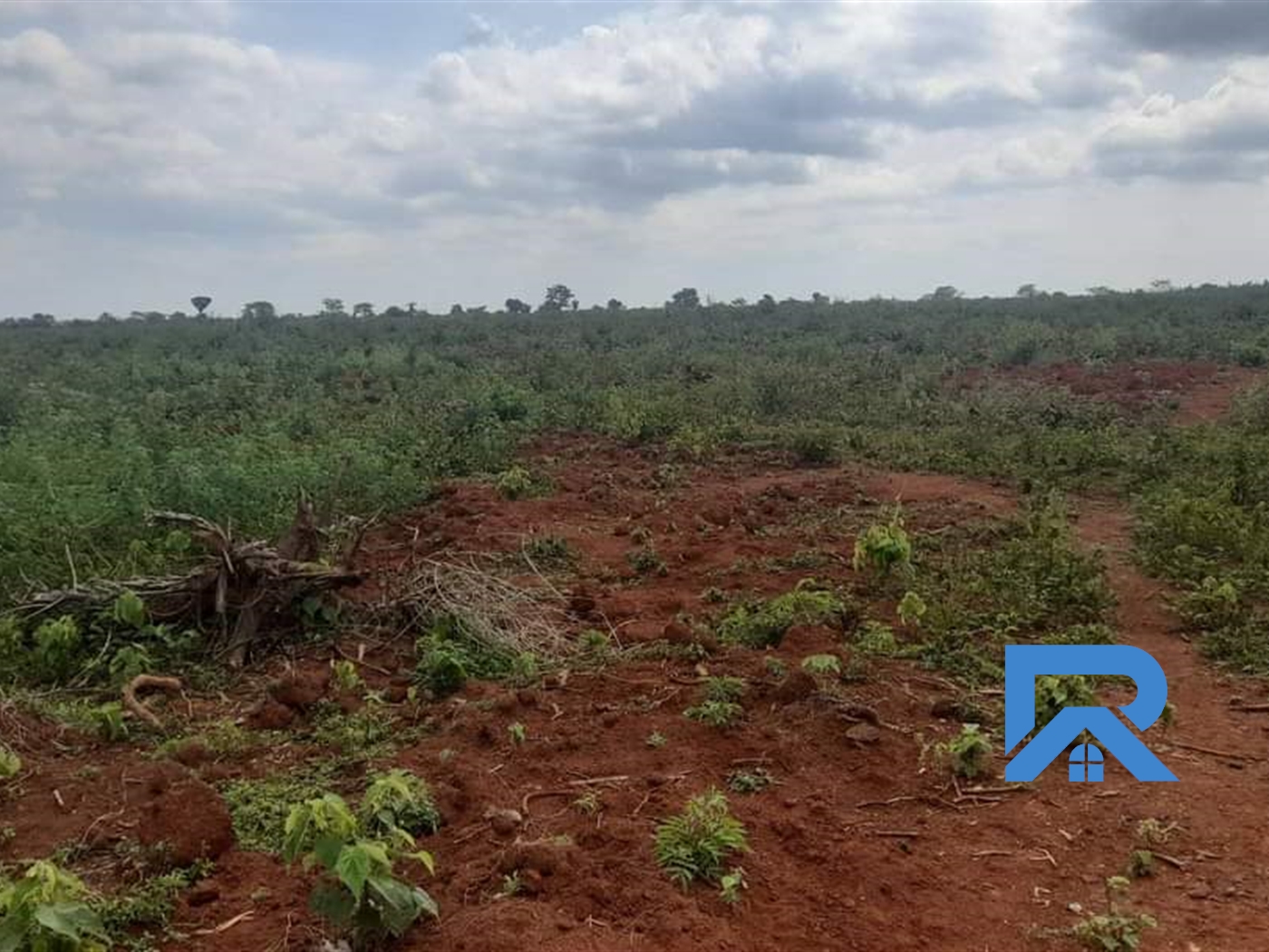 Agricultural Land for sale in Katuugo Luweero