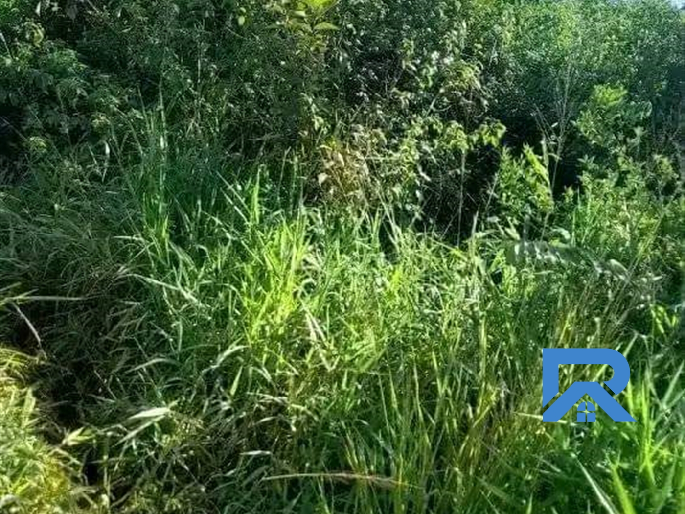 Agricultural Land for sale in Lukinzi Luwero