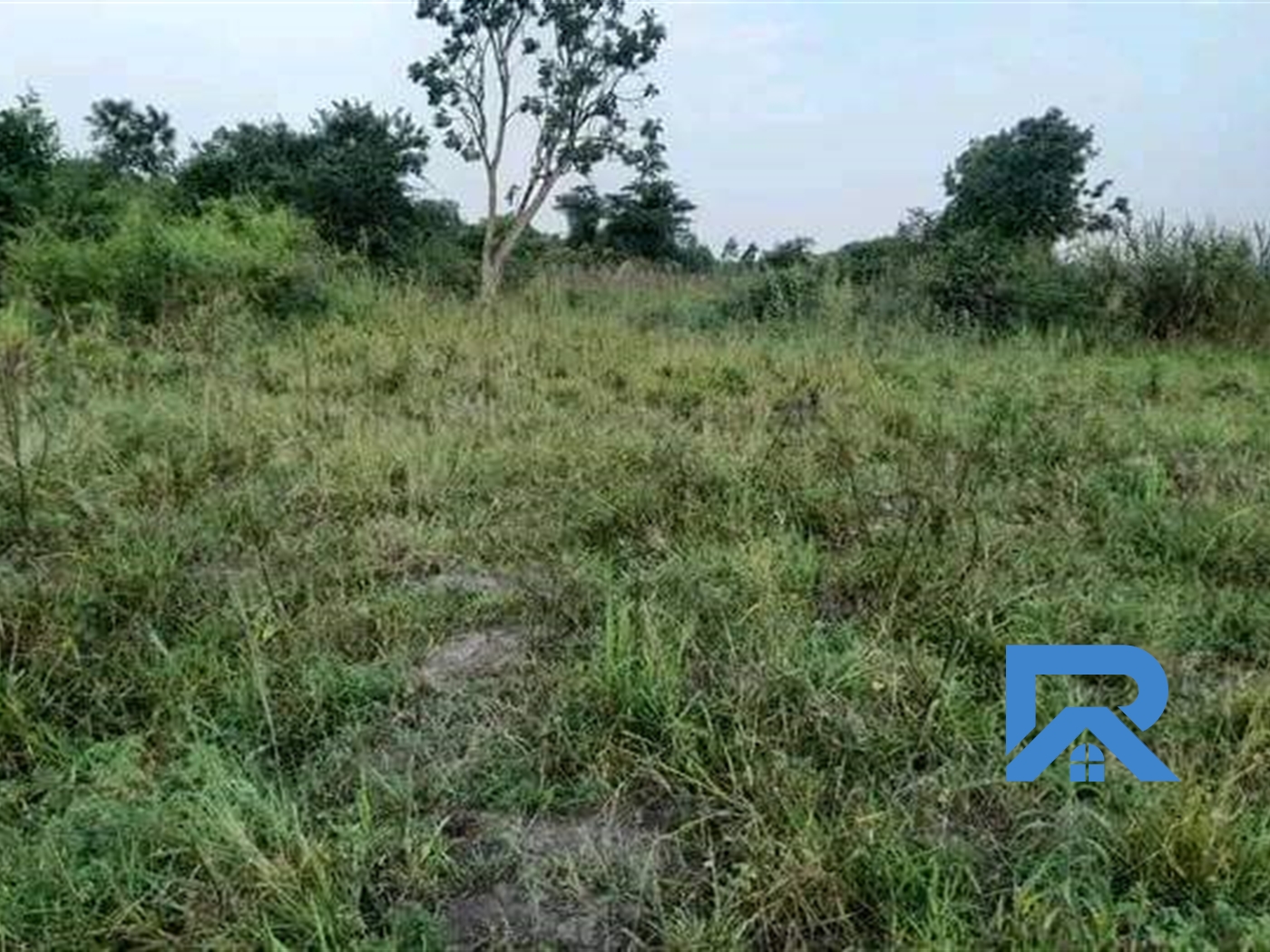 Agricultural Land for sale in Kyambogo Luwero