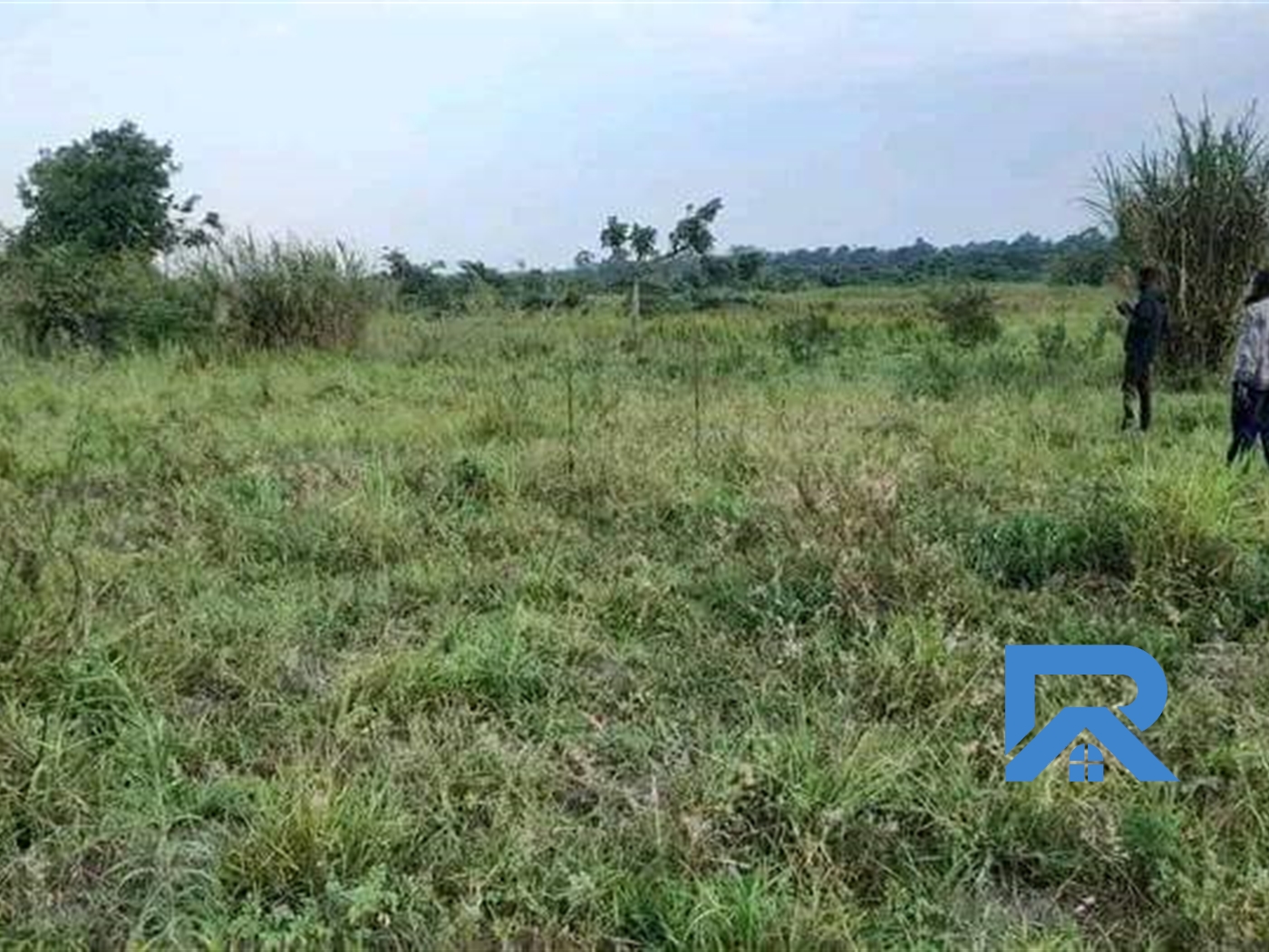 Agricultural Land for sale in Kyambogo Luweero