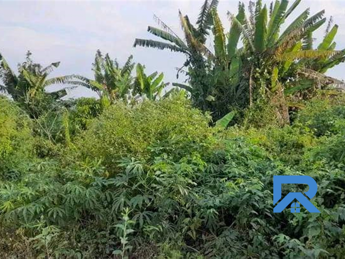 Agricultural Land for sale in Kyambogo Luweero