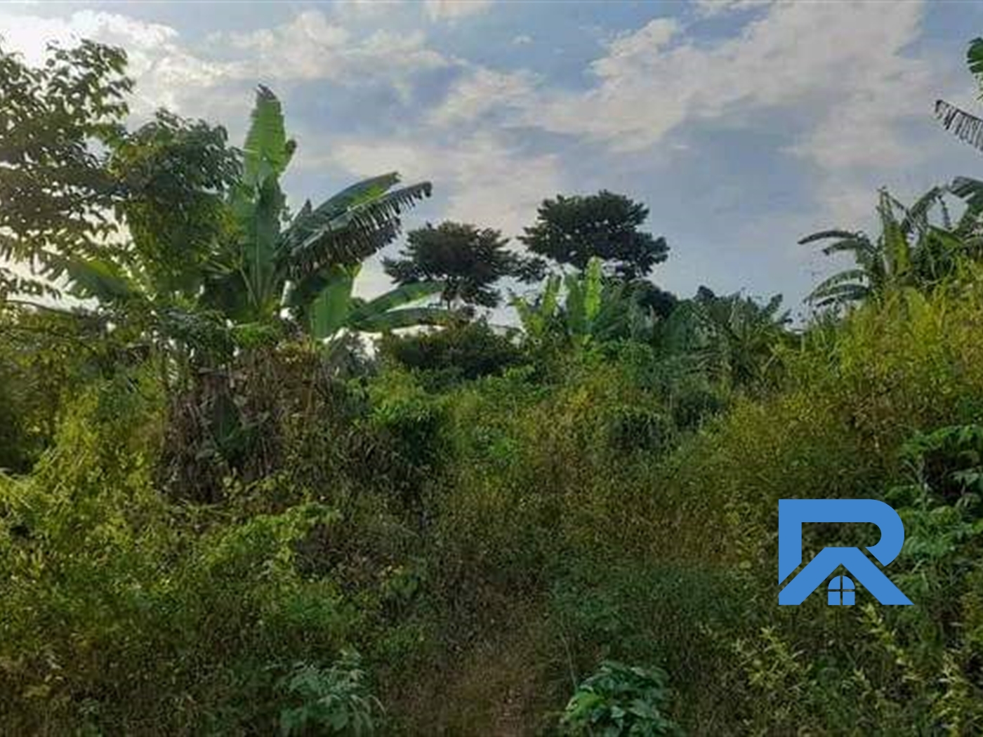 Agricultural Land for sale in Kyambogo Luweero