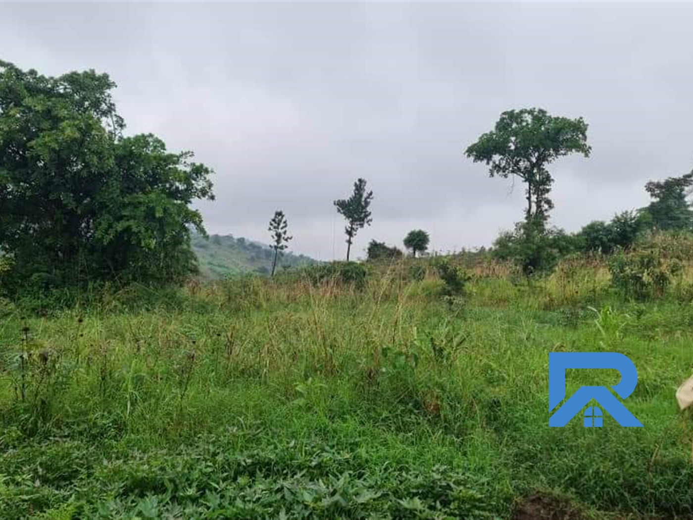 Agricultural Land for sale in Kassanda Mubende