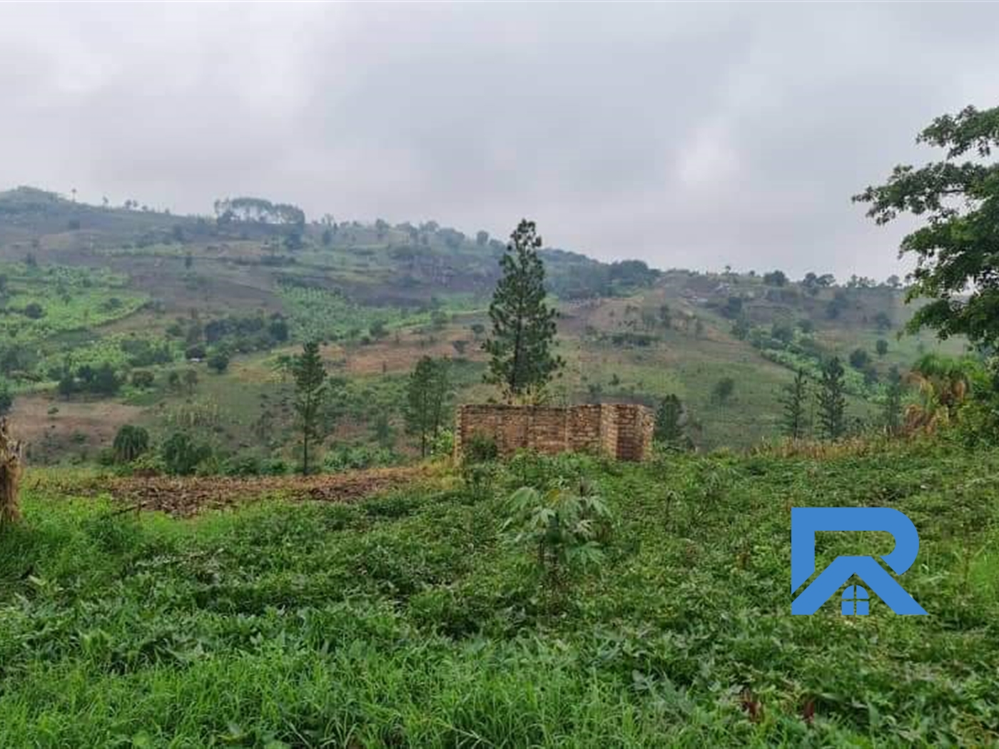 Agricultural Land for sale in Kassanda Mubende