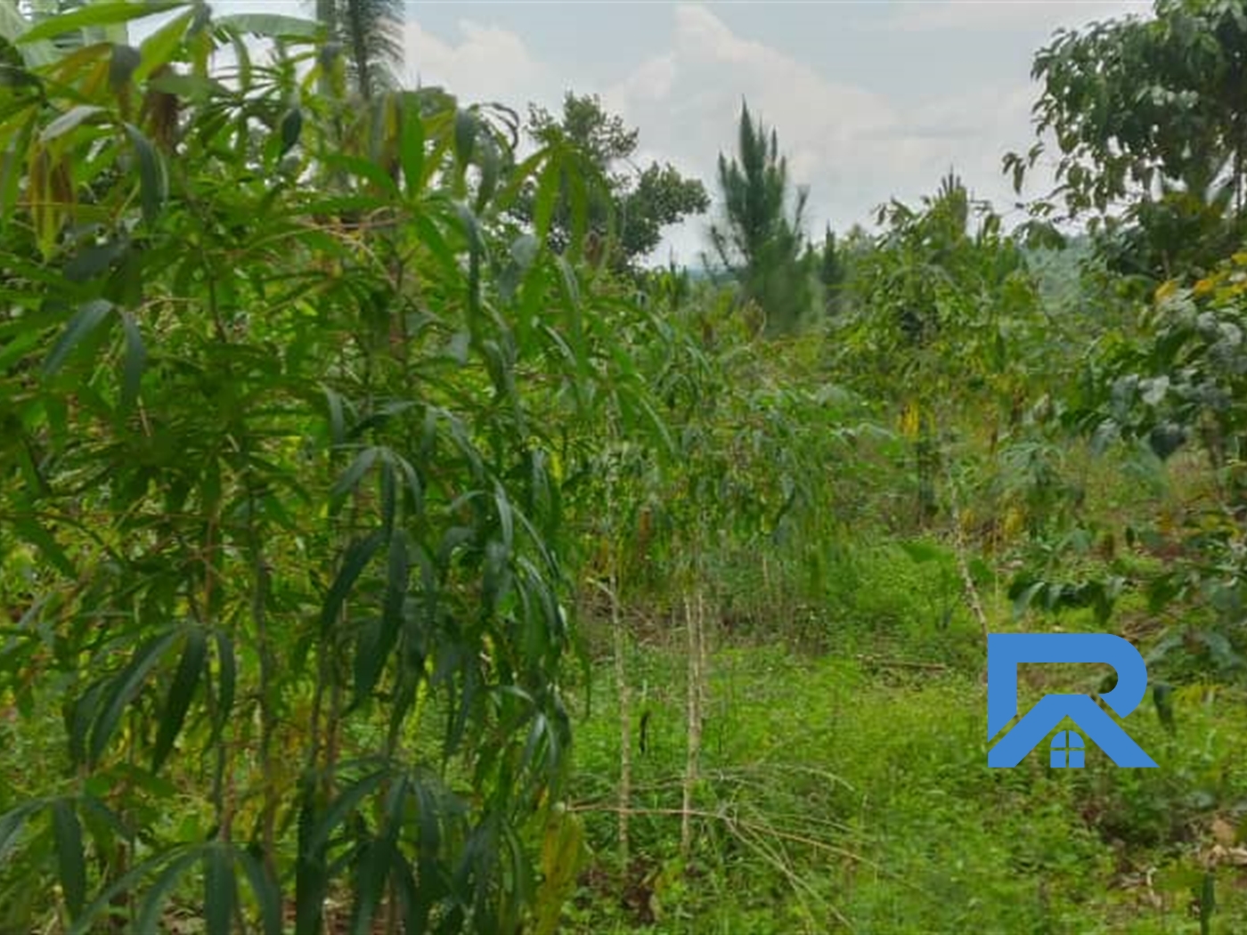 Agricultural Land for sale in Nkokonjeru Buyikwe