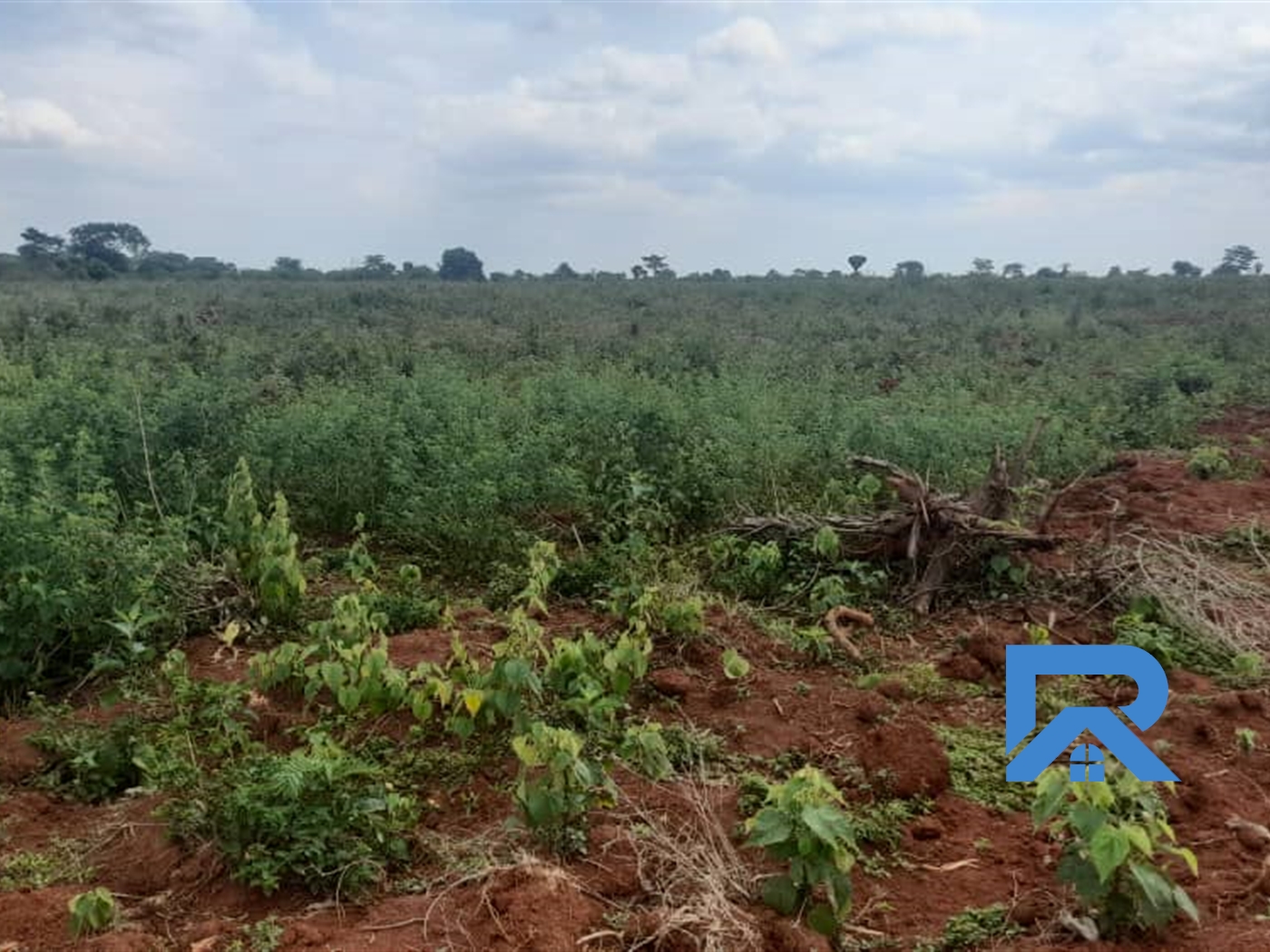 Agricultural Land for sale in Kakooge Luweero