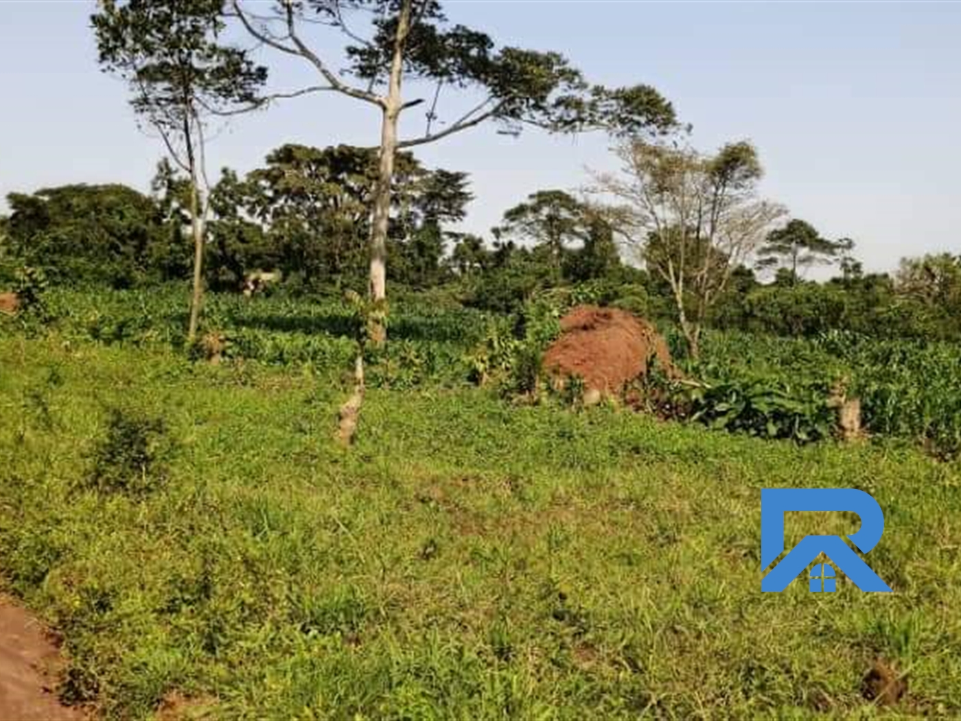 Agricultural Land for sale in Namayumba Mukono