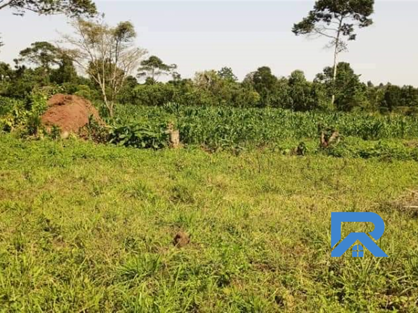 Agricultural Land for sale in Namayumba Mukono