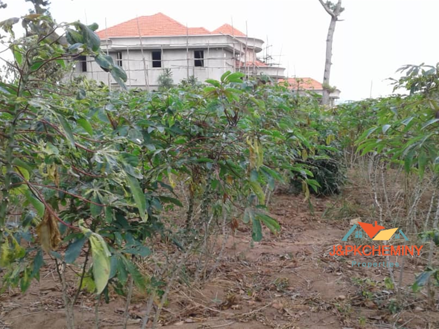 Commercial Land for sale in Kawuku Bugiri