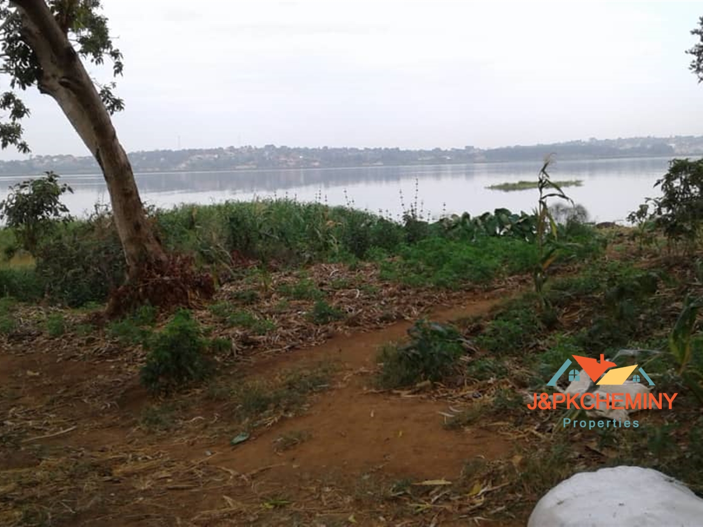 Commercial Land for sale in Kawuku Bugiri