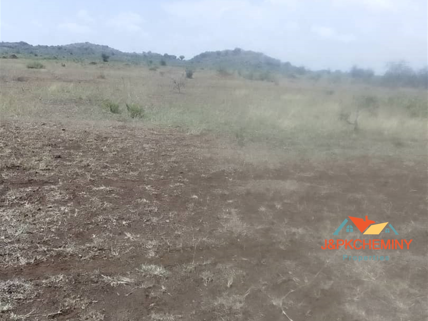 Agricultural Land for sale in Kween Kapchorwa