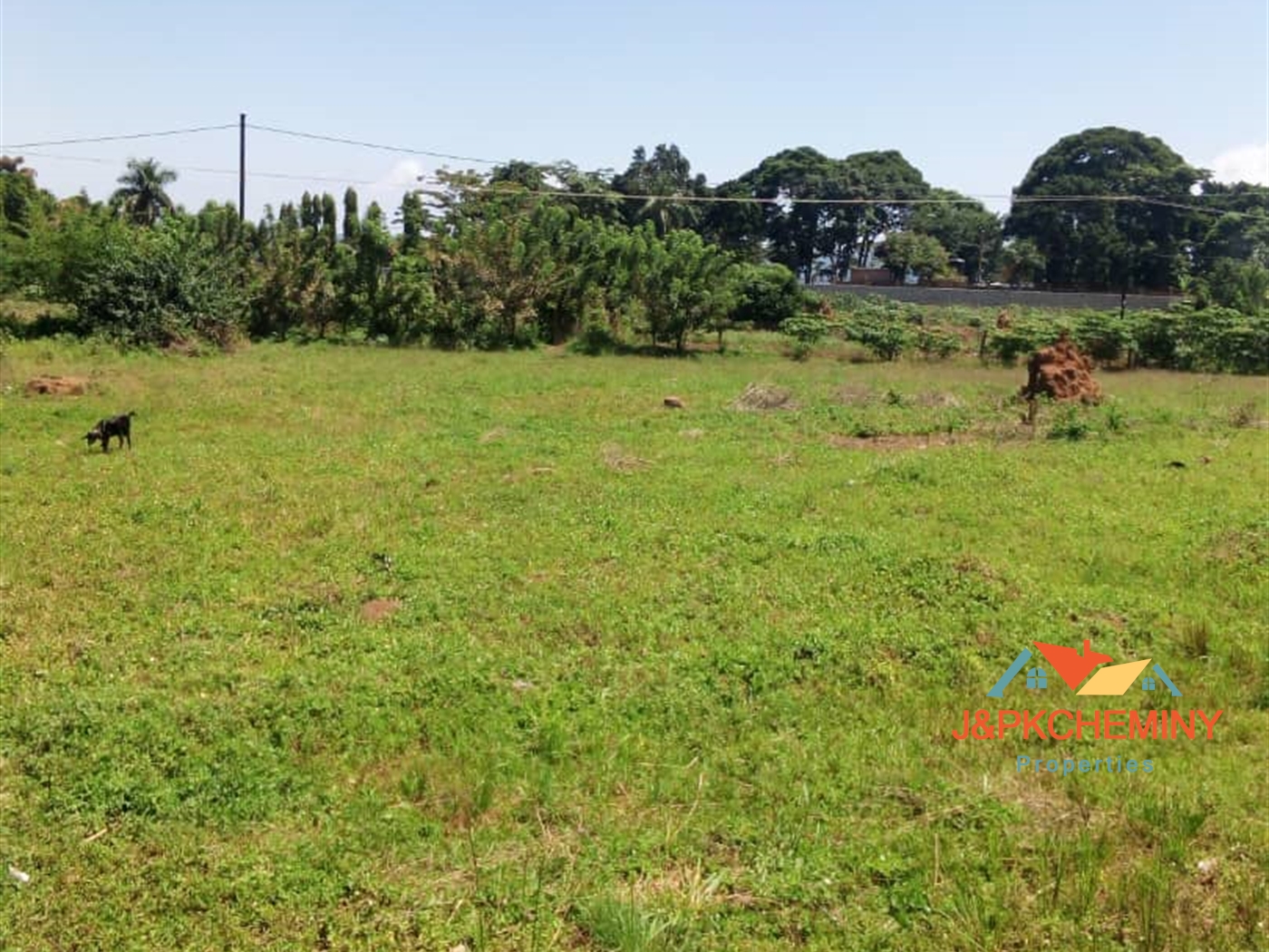 Commercial Land for sale in Entebbe Wakiso