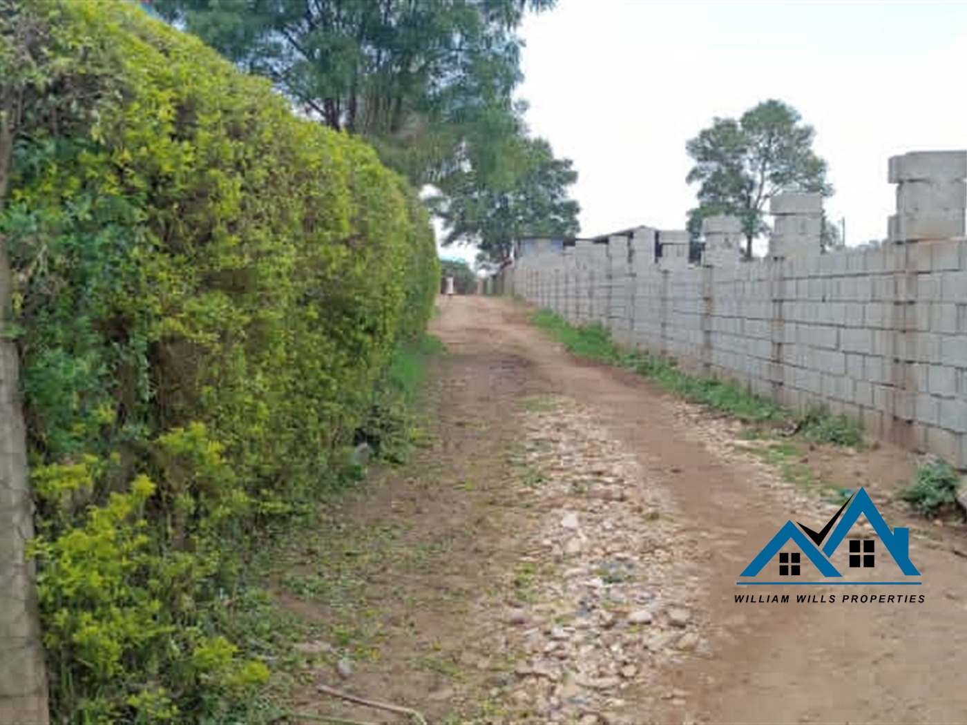 Bungalow for sale in Sonde Mukono