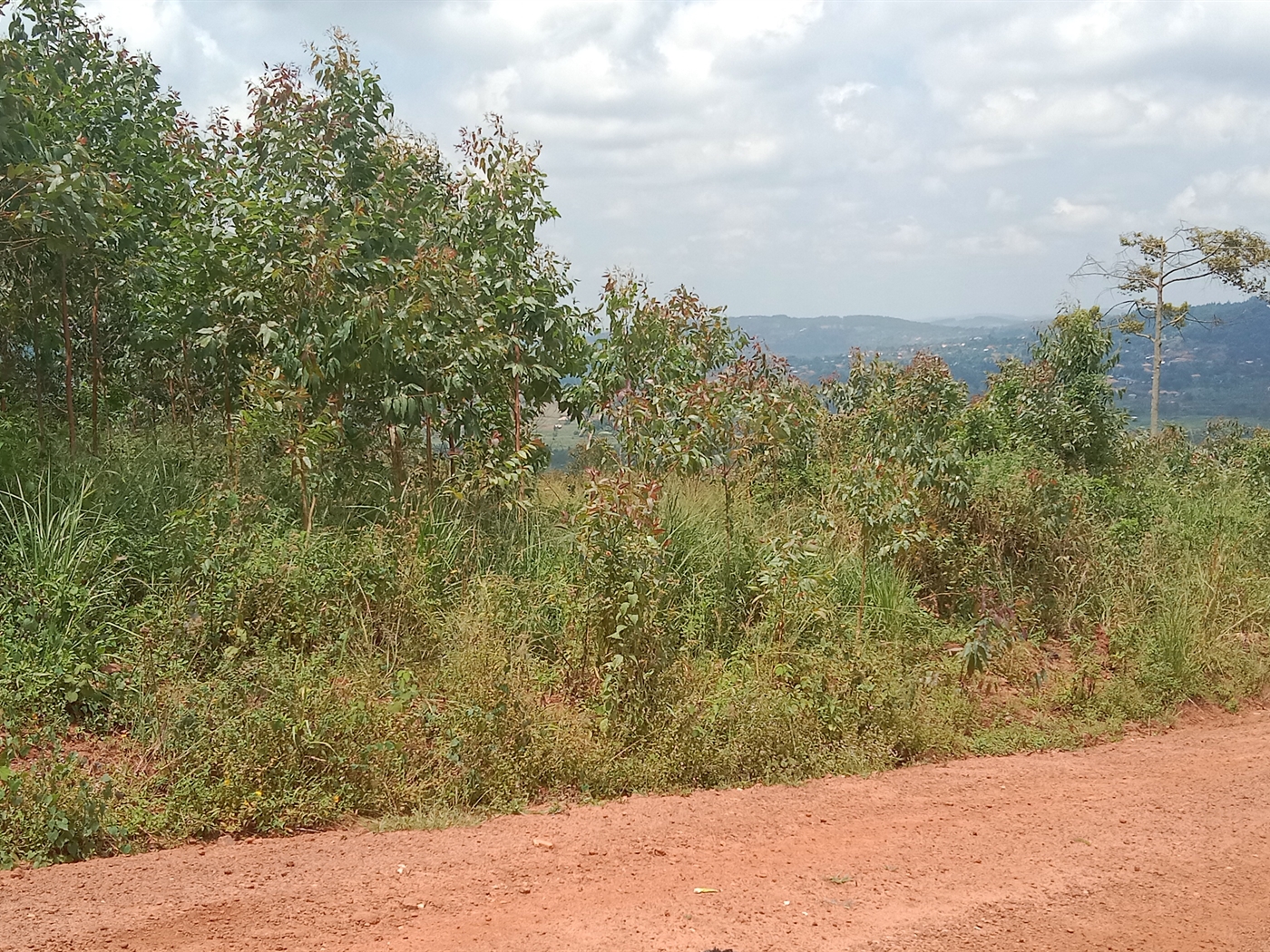 Residential Land for sale in Maya Mpigi