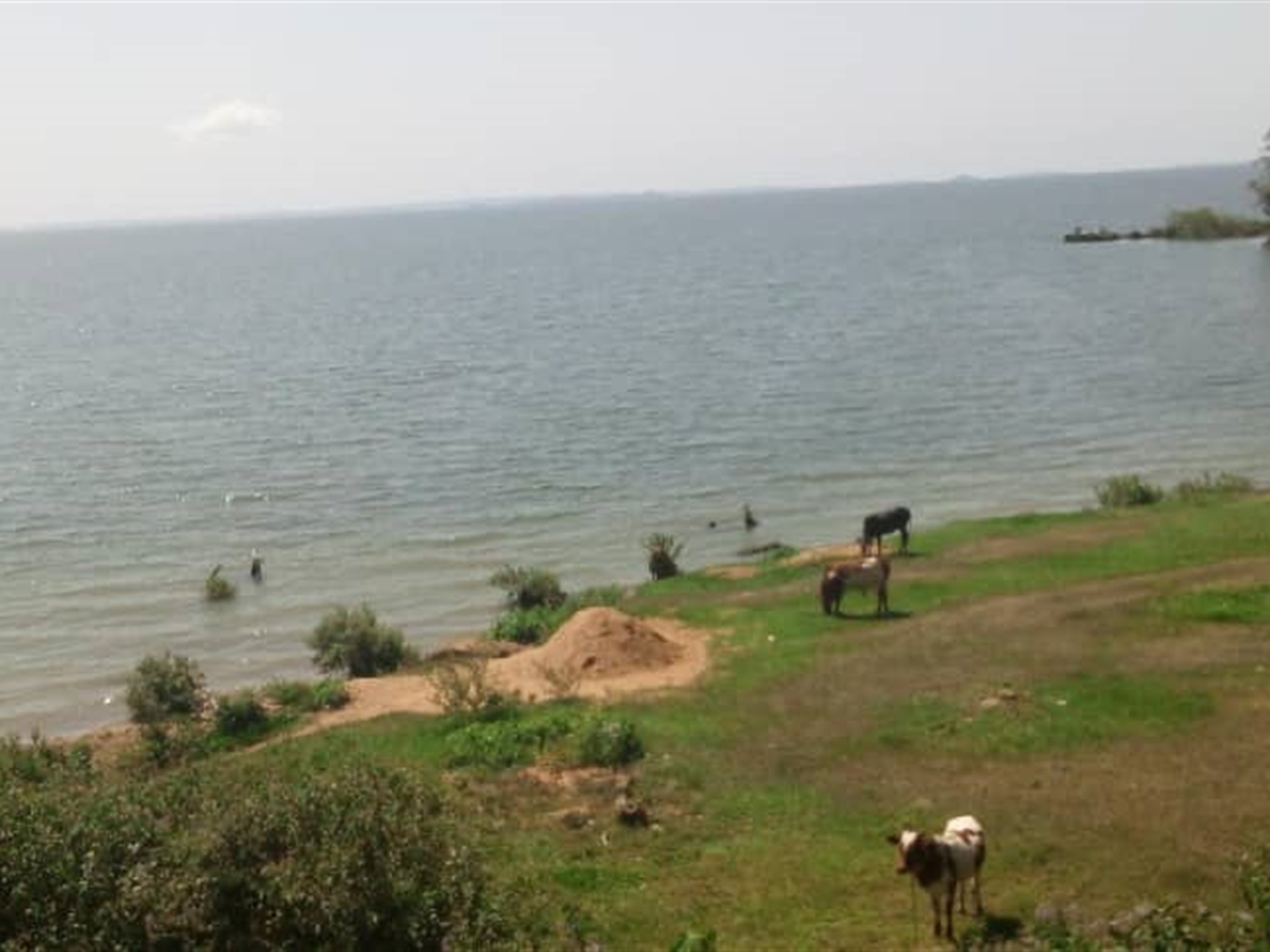 Recreational Land for sale in Bwelenga Wakiso