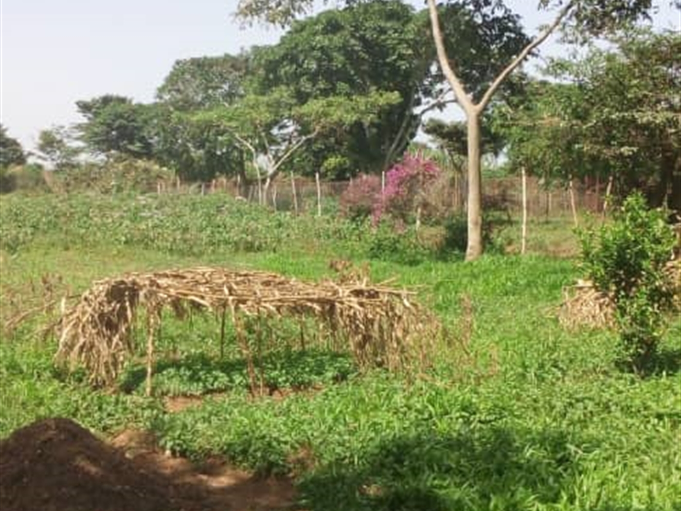 Recreational Land for sale in Bwelenga Wakiso