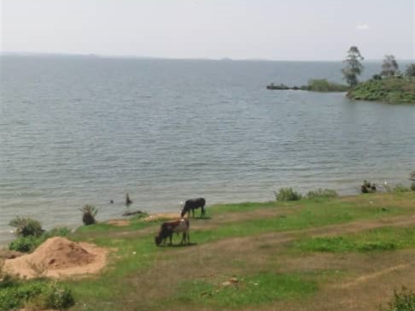 Recreational Land for sale in Bwelenga Wakiso