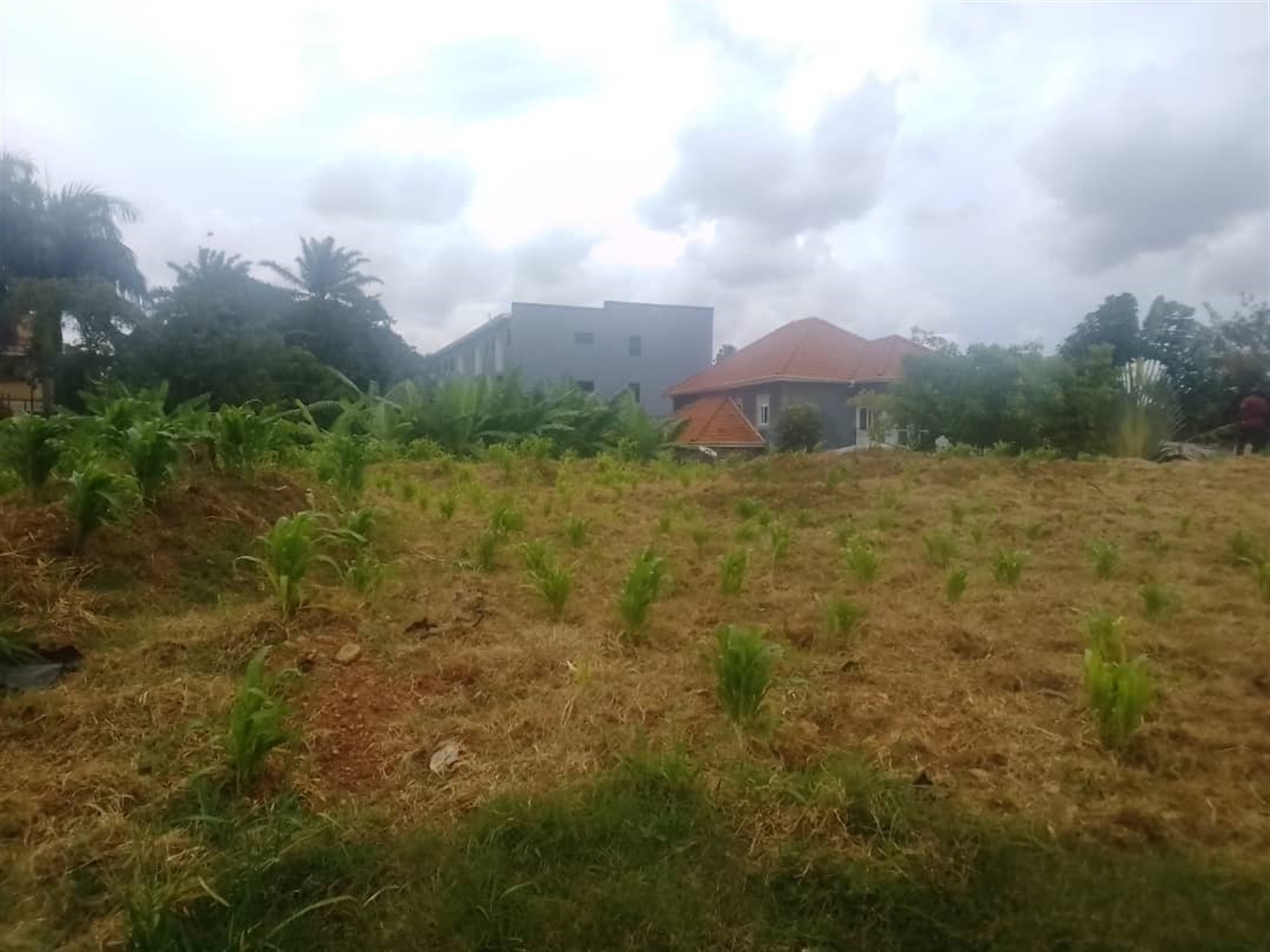 Multipurpose Land for sale in Munyonyo Kampala