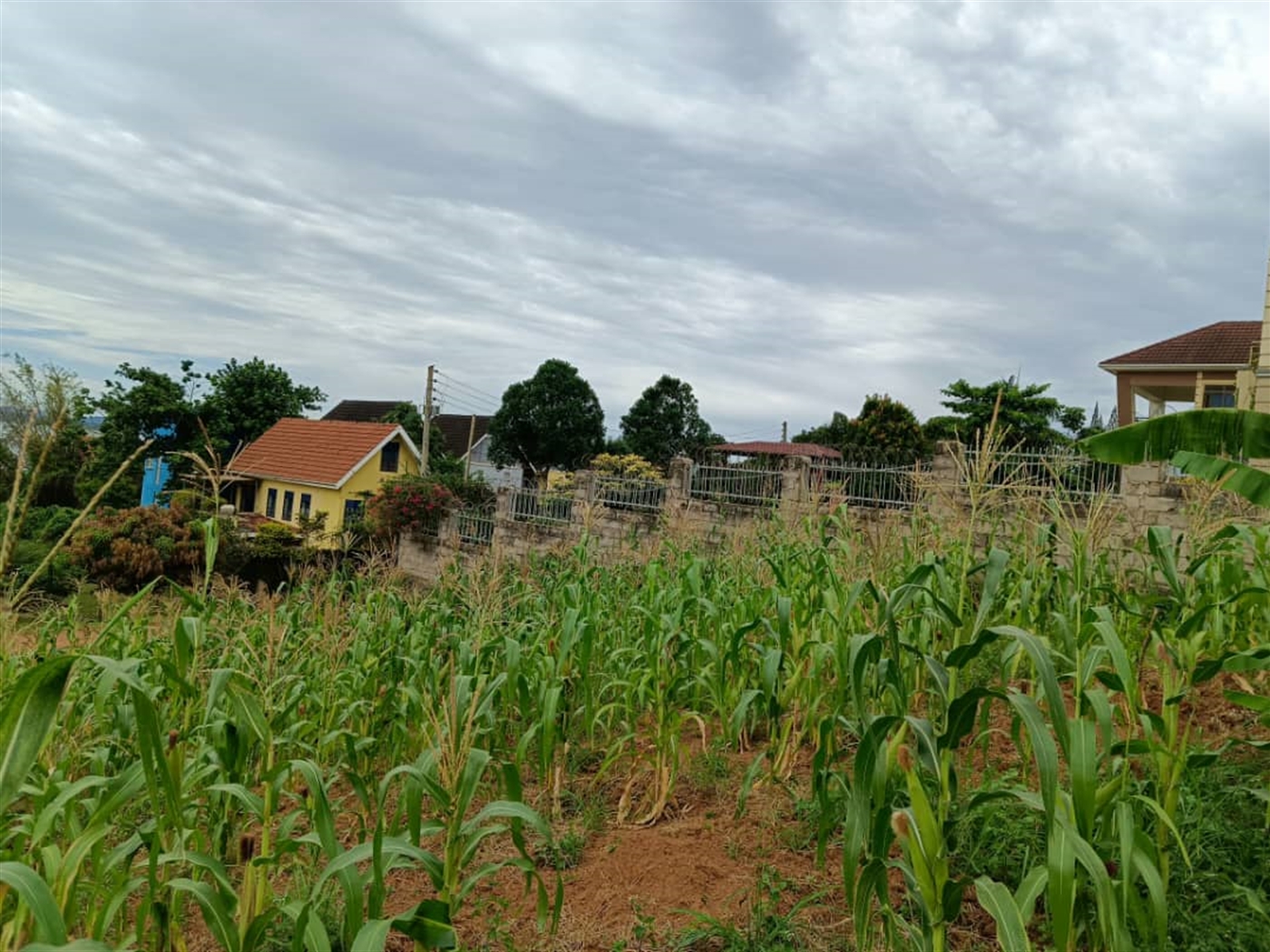 Commercial Land for sale in Bbunga Kampala