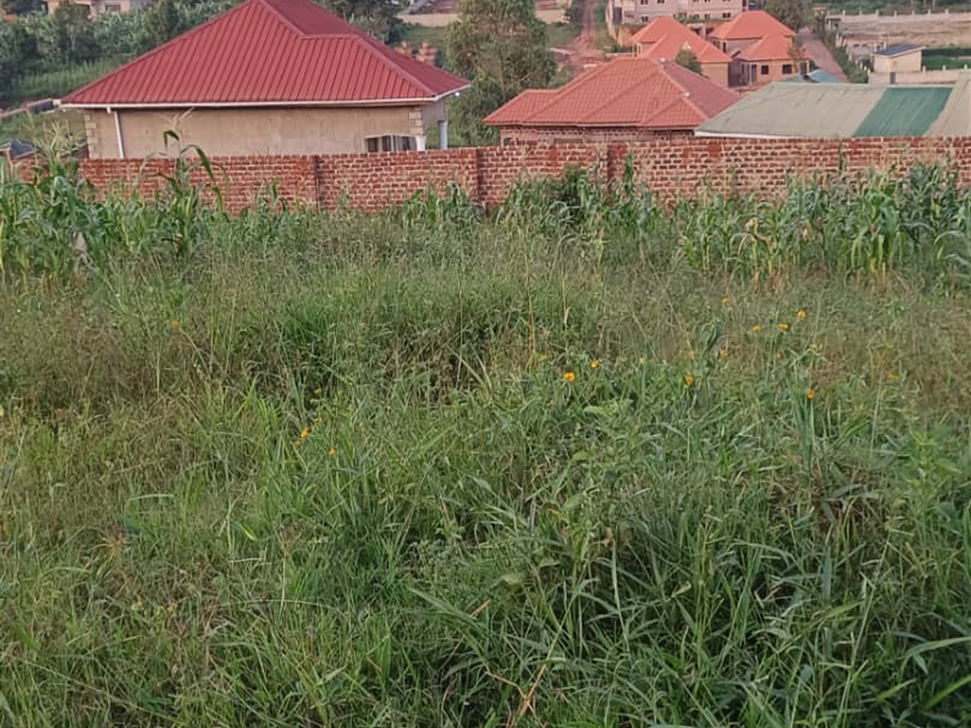 Commercial Land for sale in Manyagwa Wakiso
