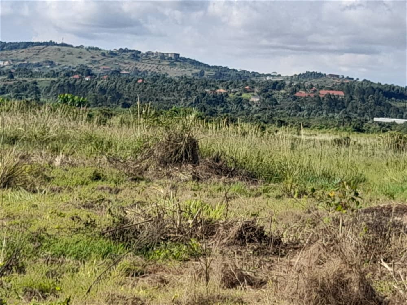 Commercial Land for sale in Jjandira Mpigi