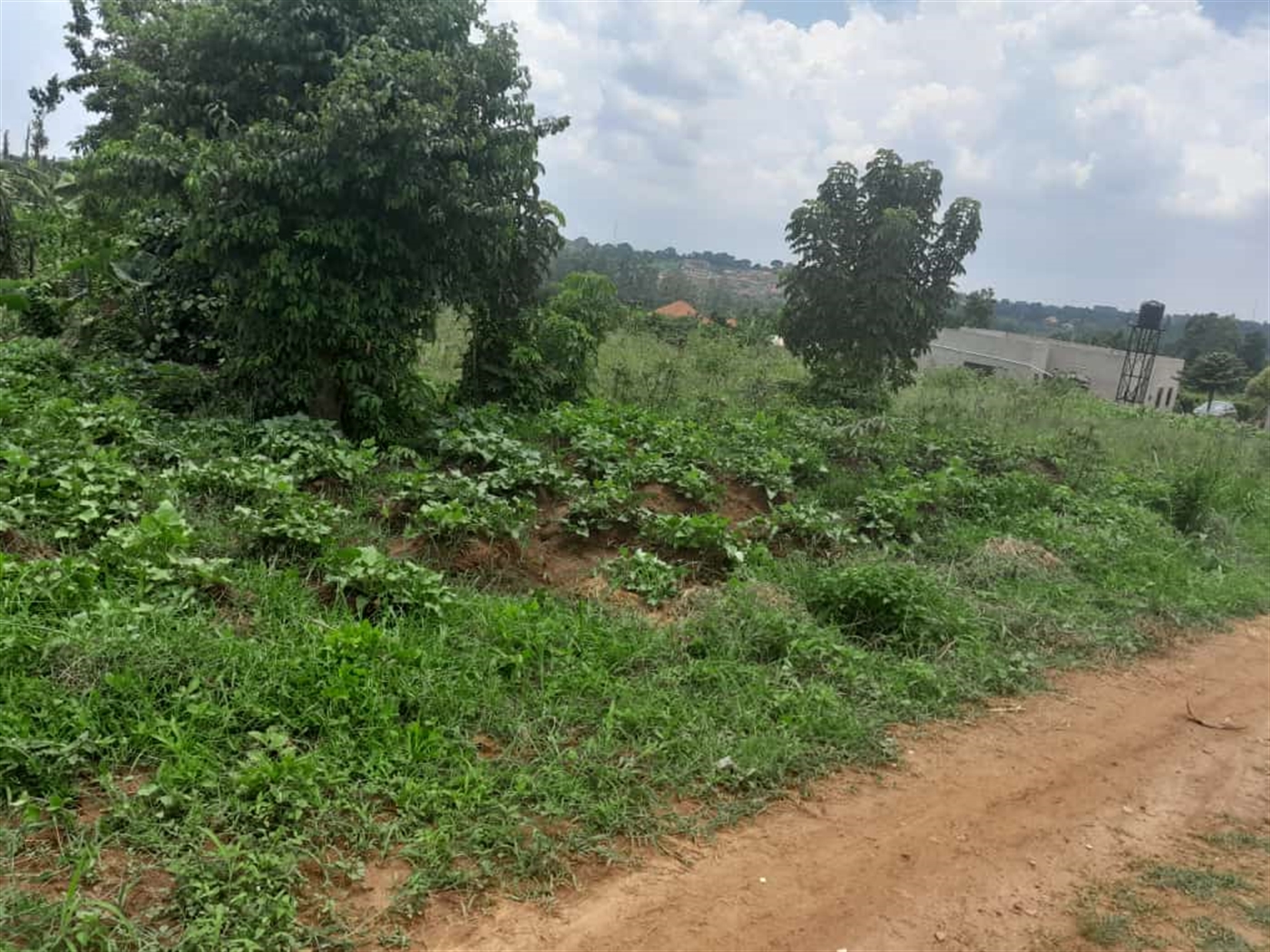Residential Land for sale in Buwagga Wakiso
