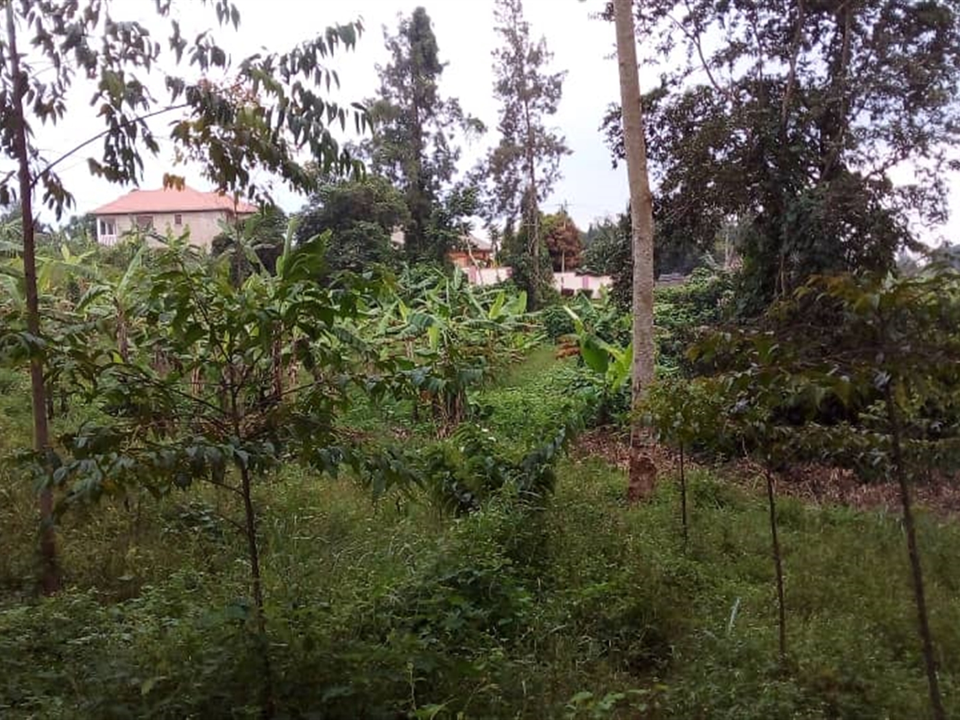 Recreational Land for sale in Kakiri Wakiso