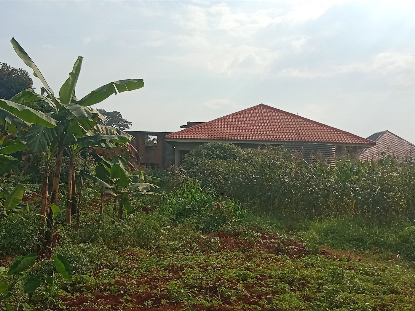 Residential Land for sale in Nkumba Wakiso