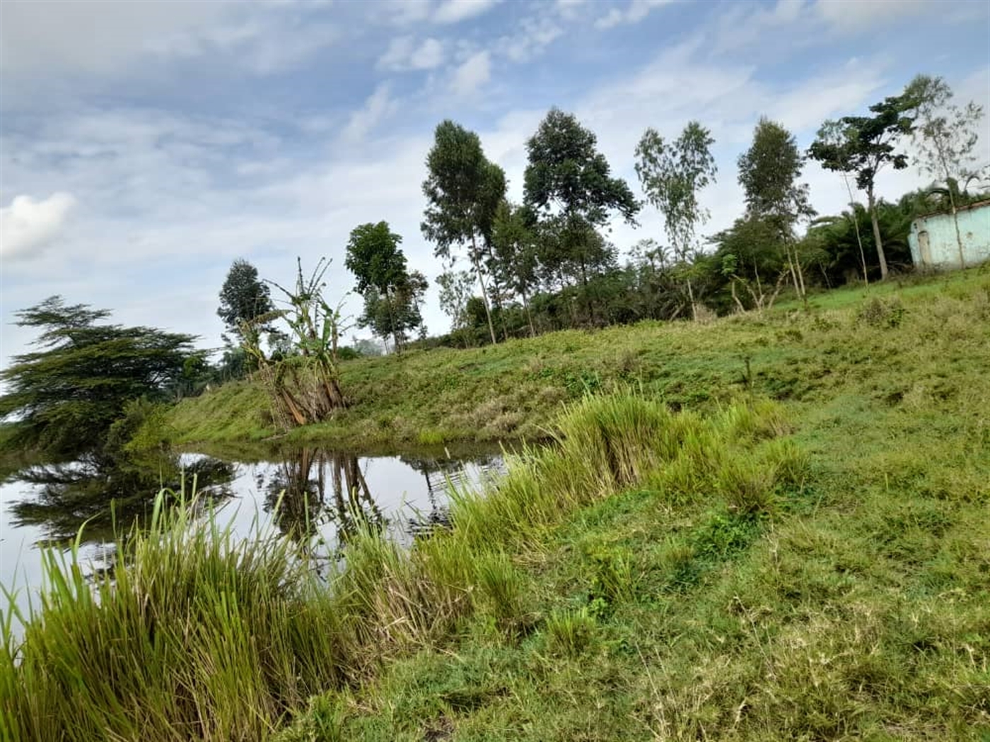 Agricultural Land for sale in Kikube Luweero