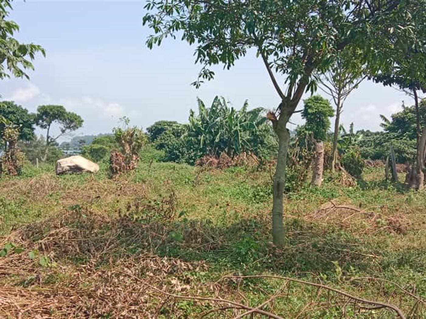 Residential Land for sale in Garuga Wakiso