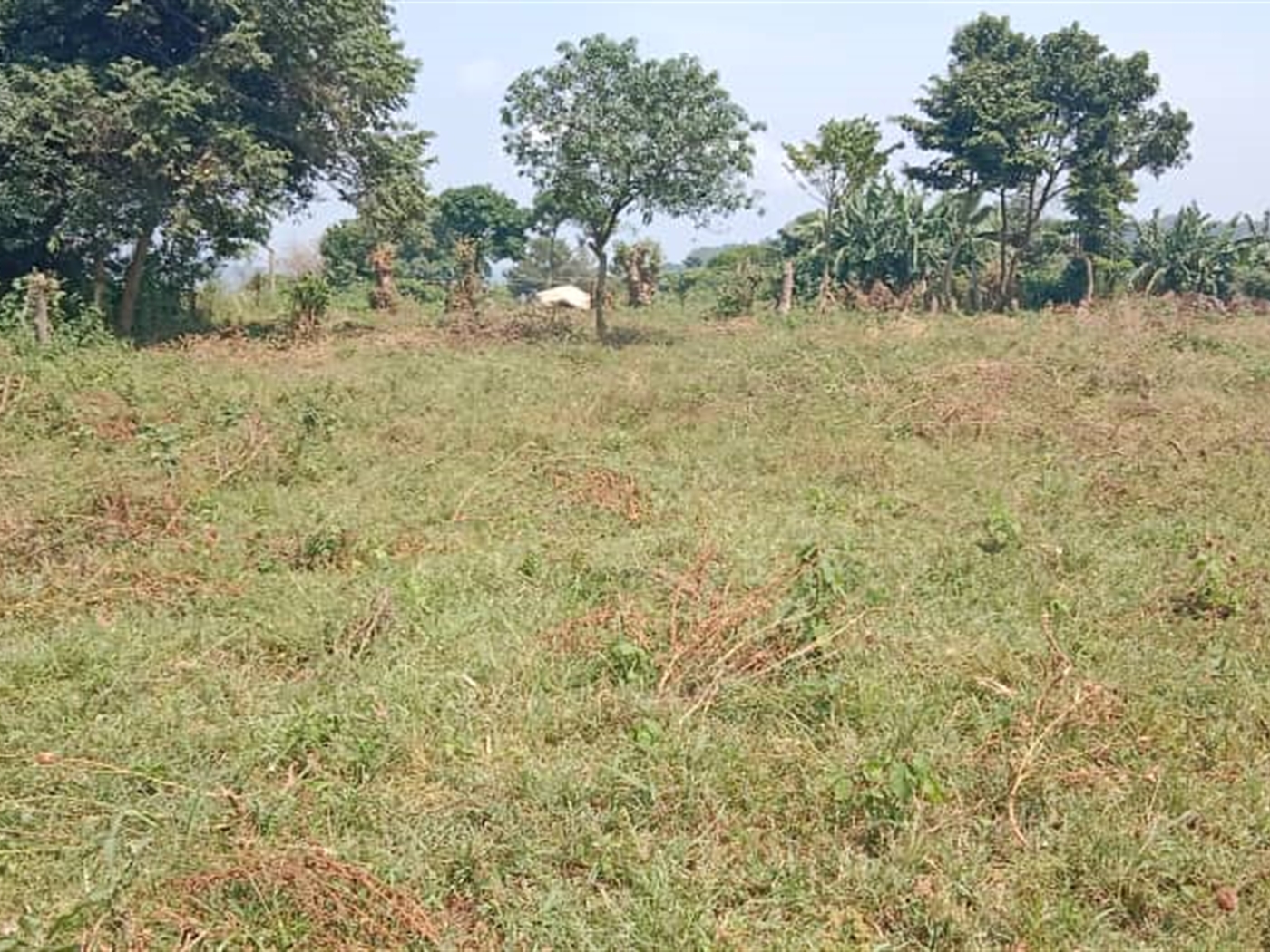 Residential Land for sale in Garuga Wakiso