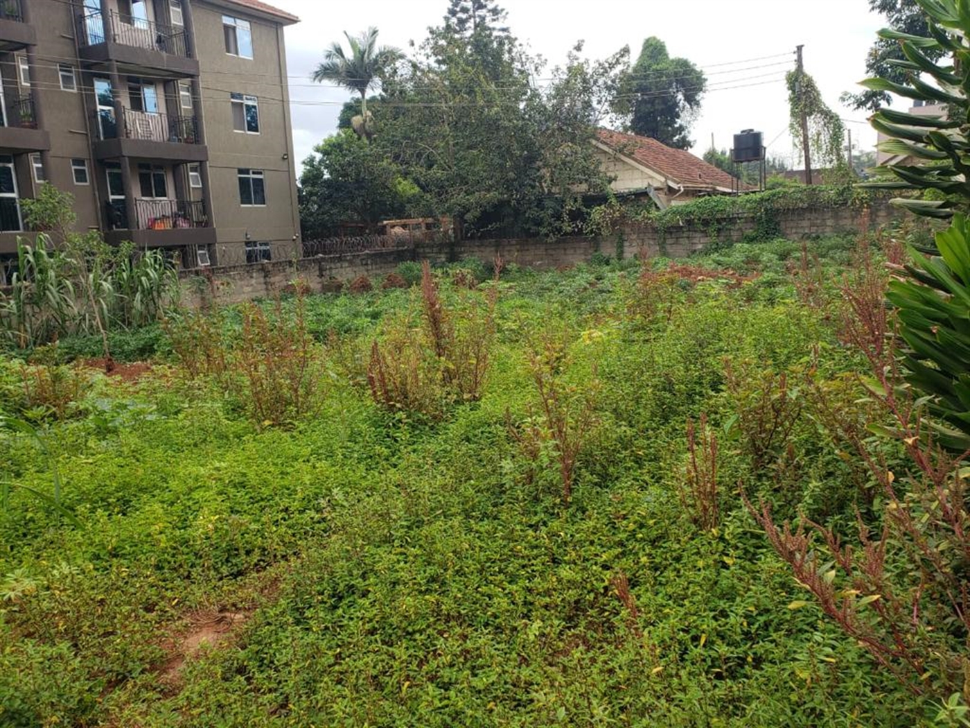 Residential Land for sale in Bukoto Wakiso