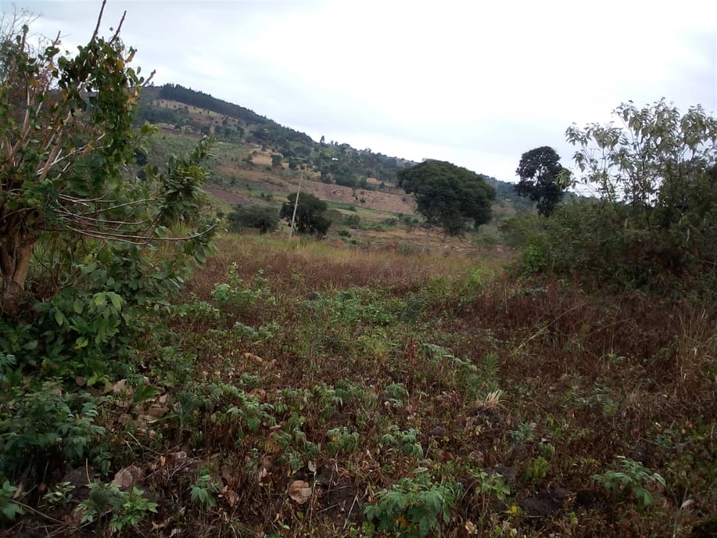 Residential Land for sale in Lukalu Mpigi