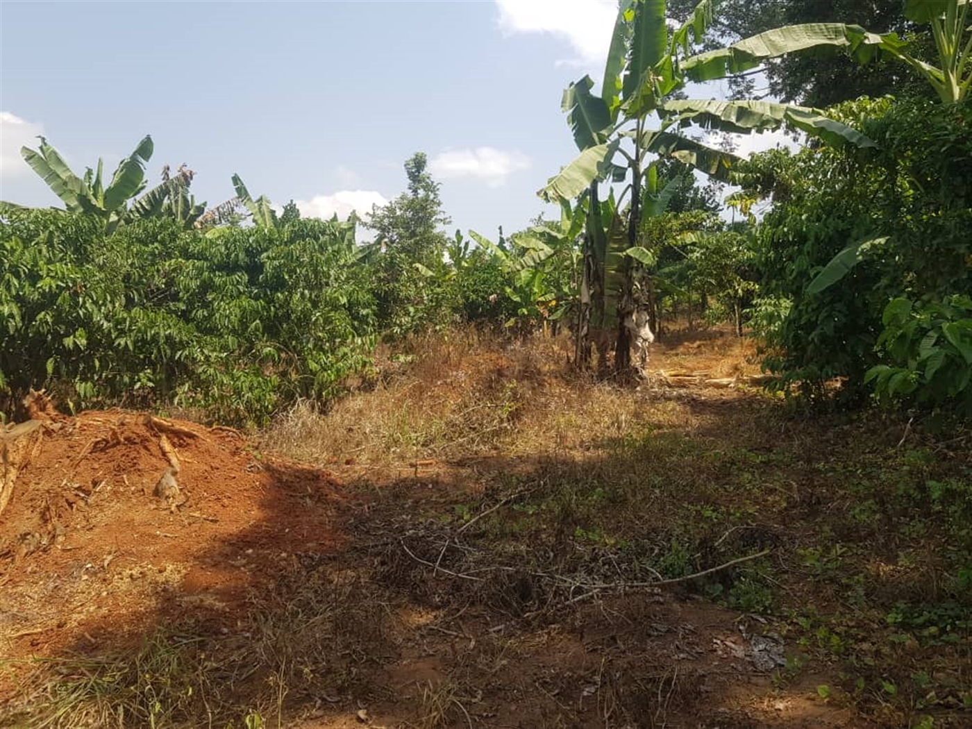 Residential Land for sale in Bombo Luweero