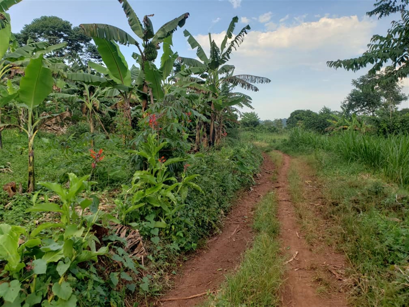 Agricultural Land for sale in Lugazi Wakiso