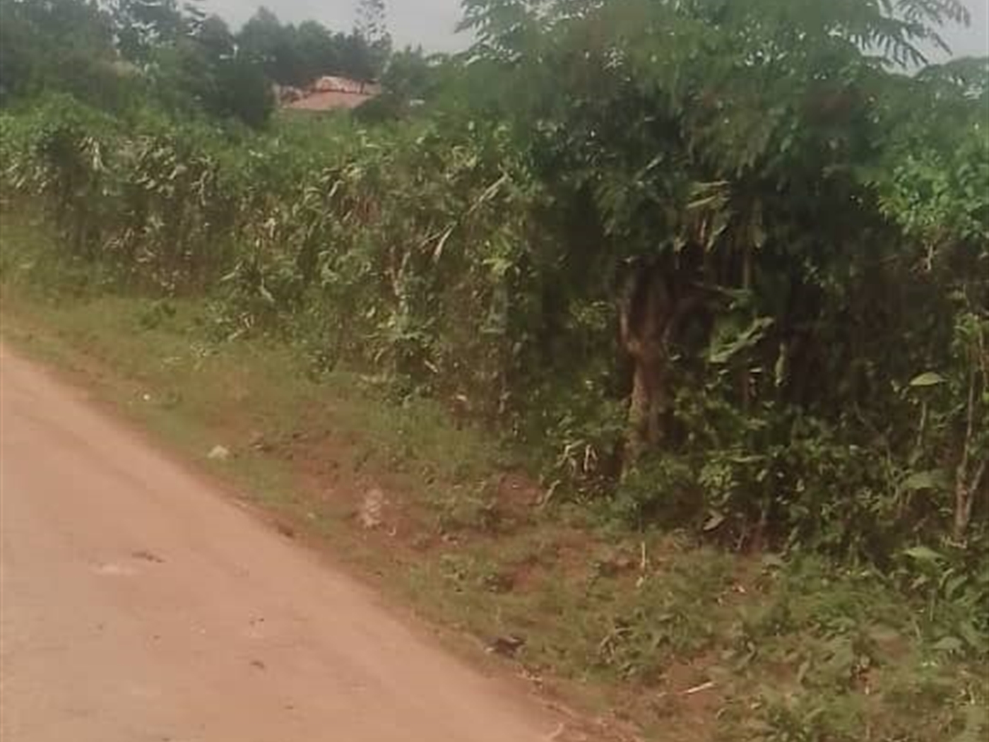 Commercial Land for sale in Kalagi Mukono