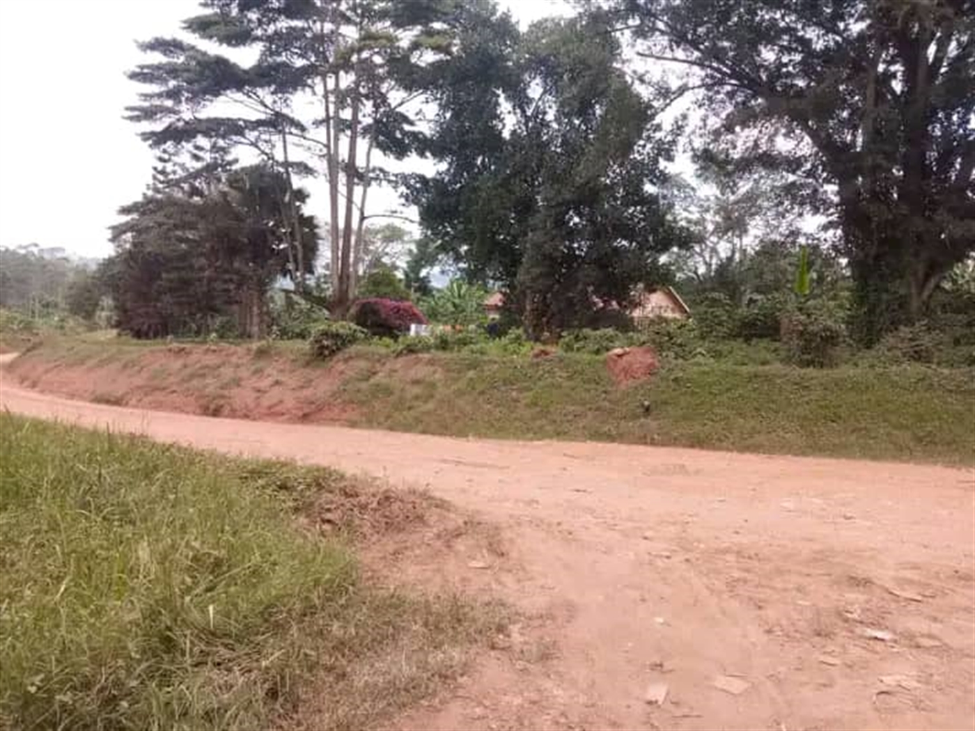 Residential Land for sale in Katale Wakiso