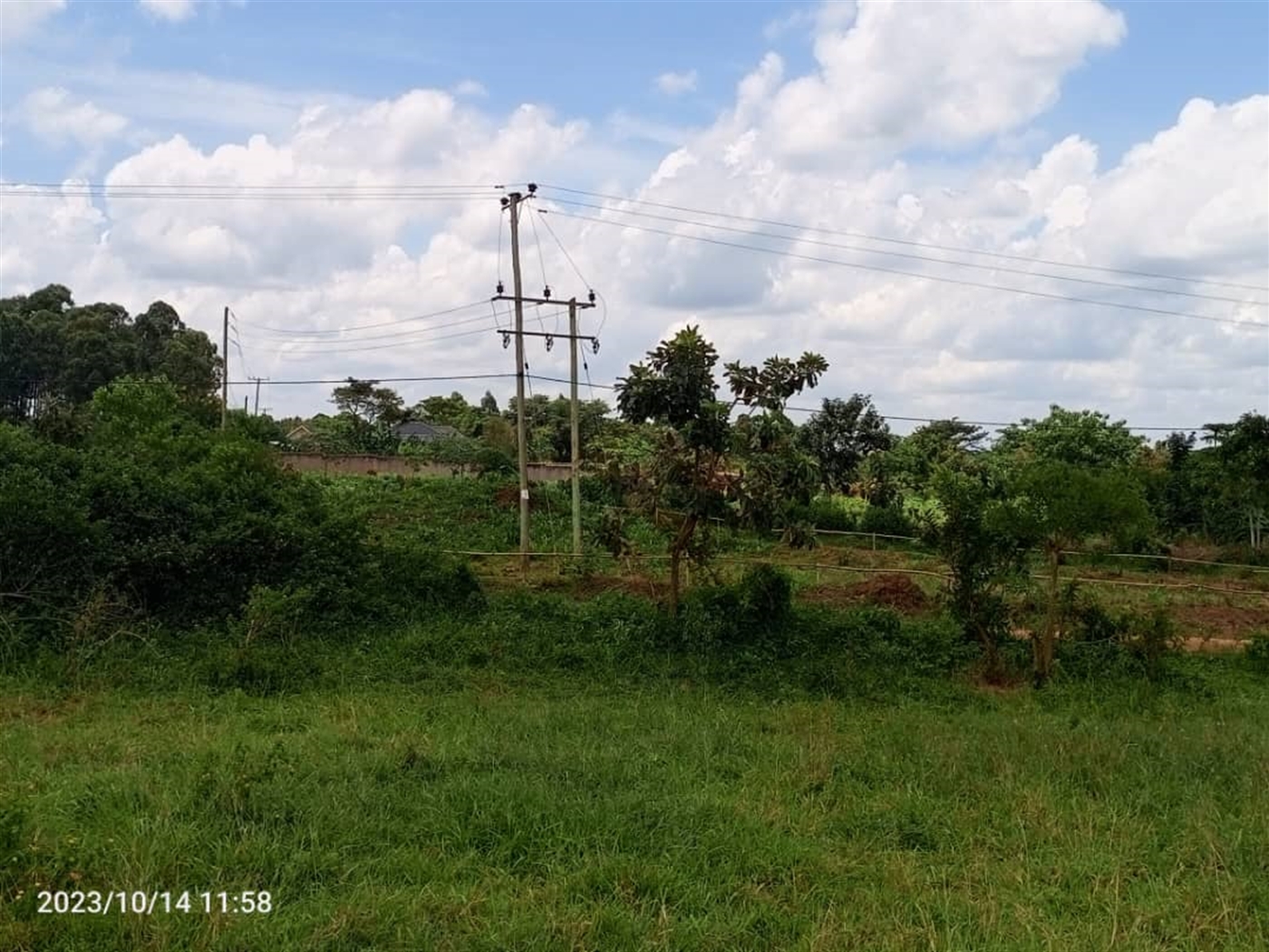 Residential Land for sale in Nakaseke Nakaseke
