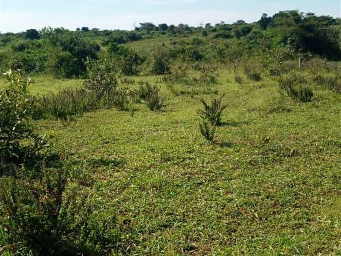 Residential Land for sale in Kakooge Wakiso