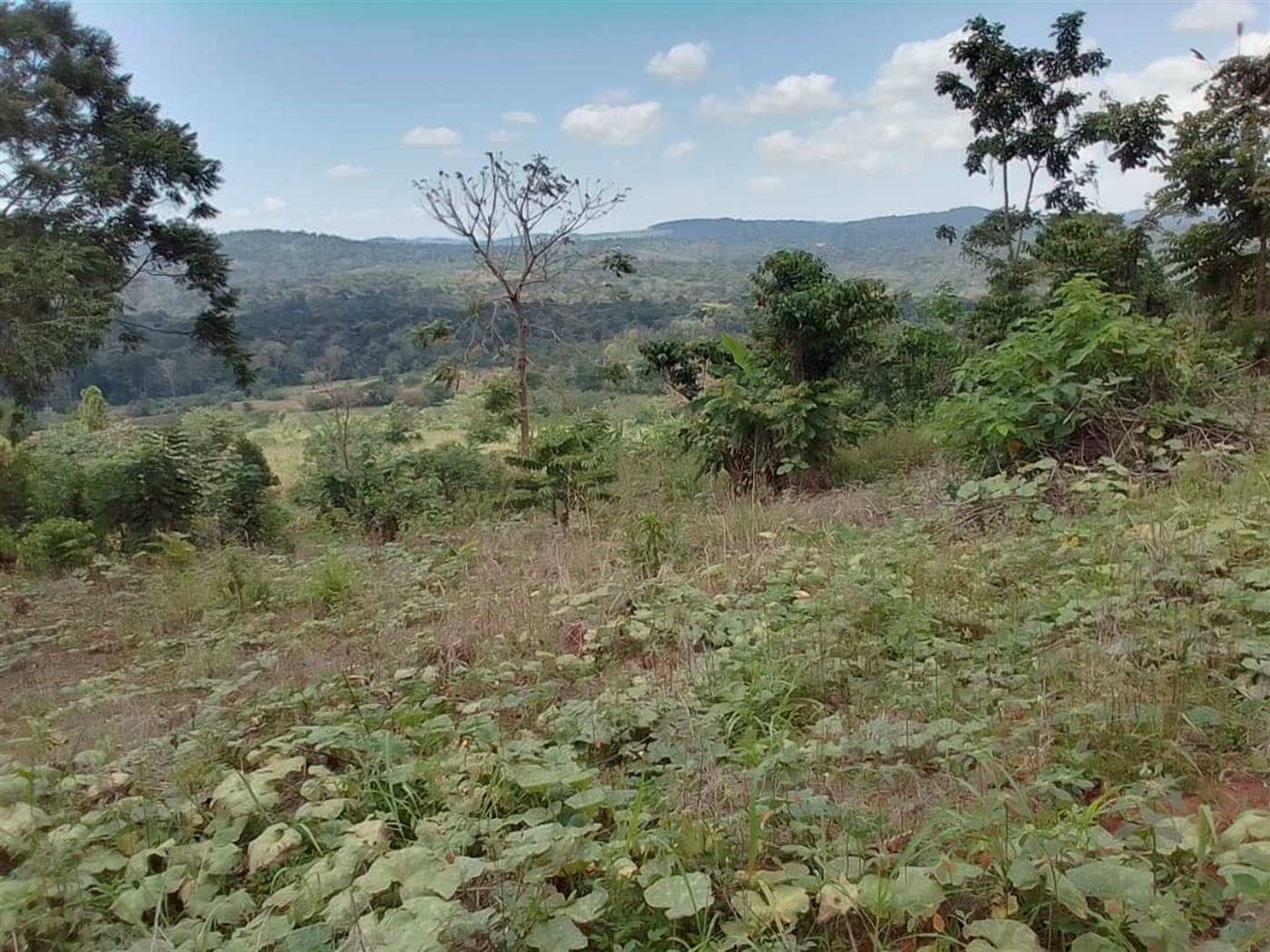 Residential Land for sale in Mabira Jinja