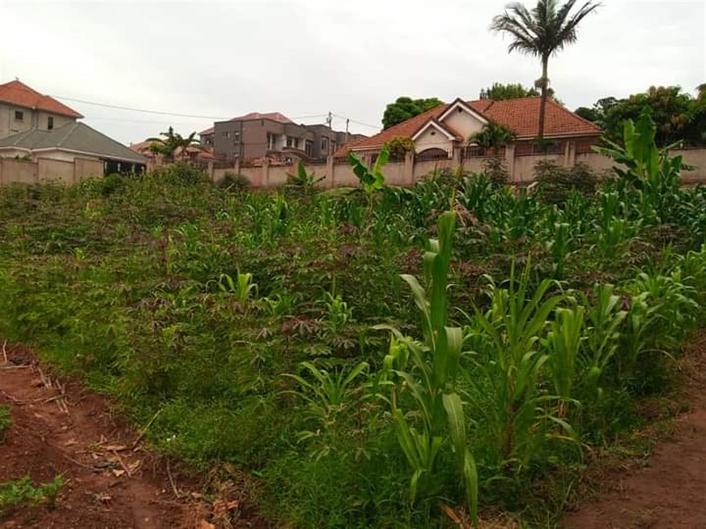 Commercial Land for sale in Nsonde Wakiso