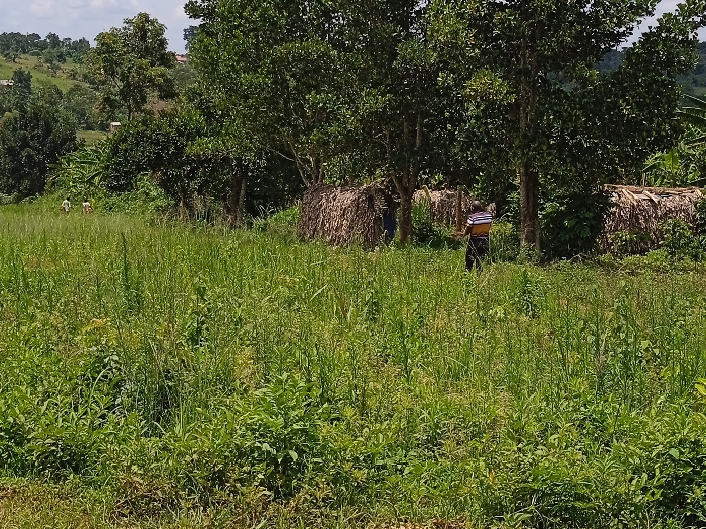 Residential Land for sale in Matuggakiwebwa Wakiso