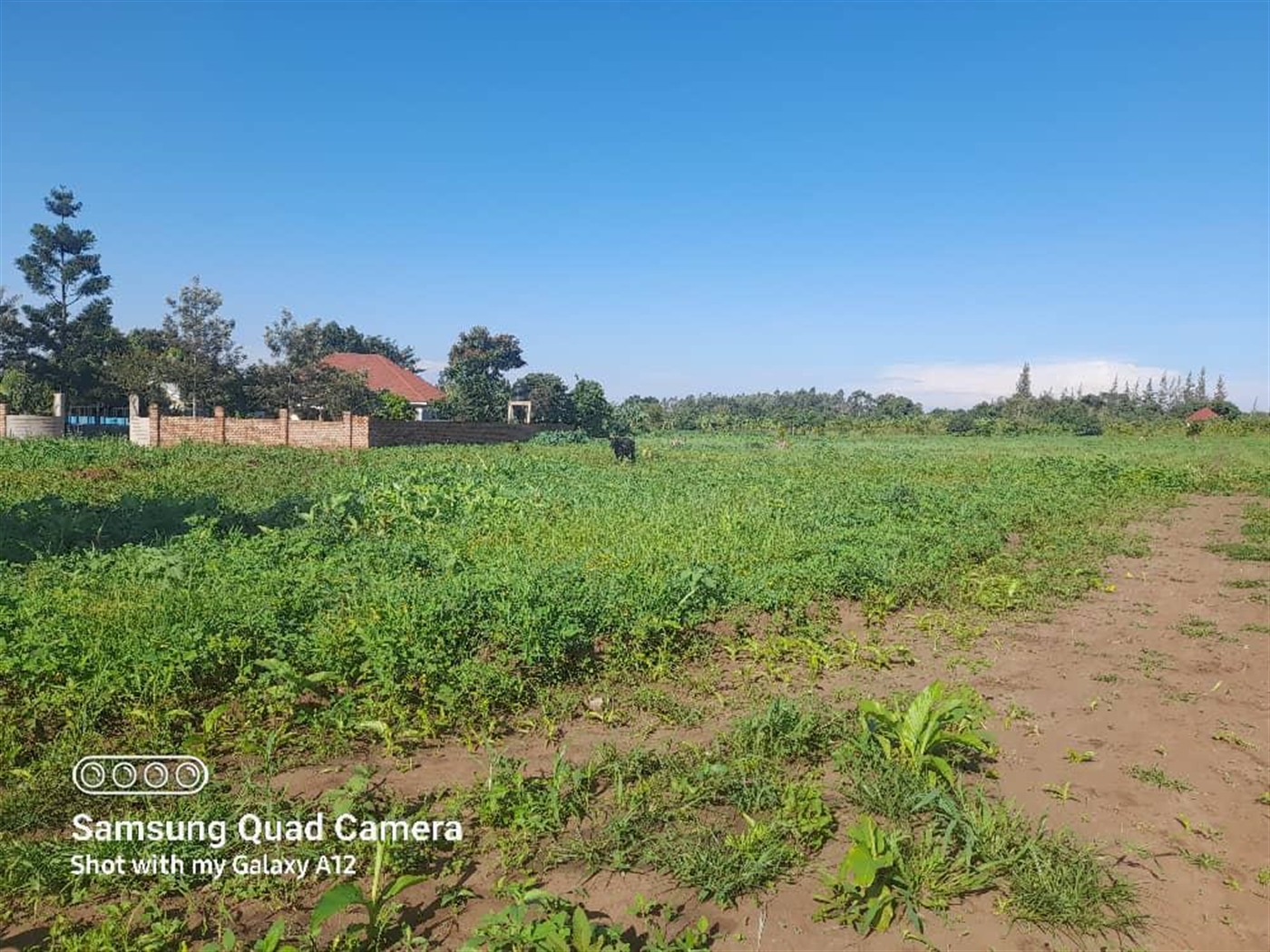 Residential Land for sale in Janda Luweero