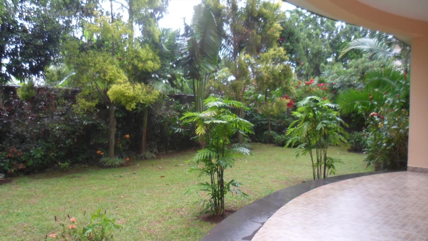 Villa for rent in Munyonyo Kampala